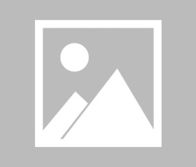 宝威体育-猛龙队球员名单主力