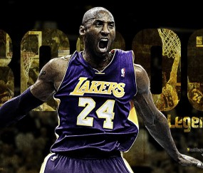 全面解析：宝威体育